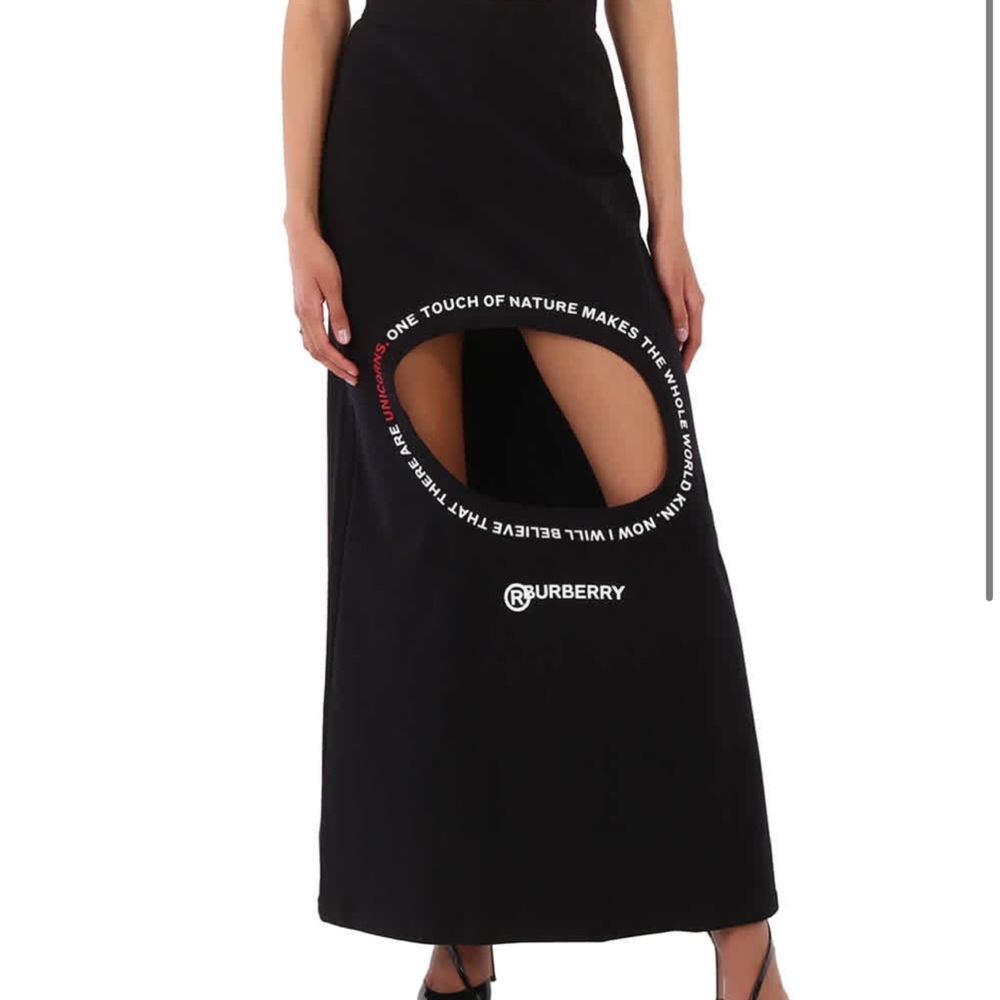 NWT Burberry skirt, SS19 collection, size 0-6